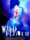 Wildflower