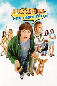 Dude  Where's My Car? - Poster