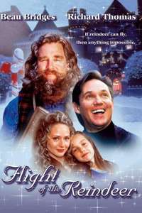 The Christmas Secret - Poster