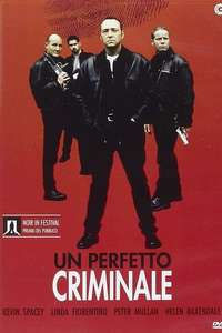 Ordinary Decent Criminal - Poster
