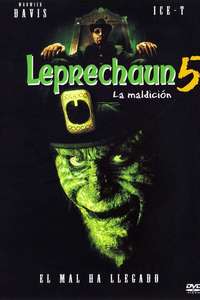 Leprechaun in the Hood - Poster