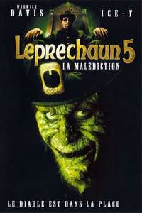 Leprechaun in the Hood - Poster