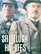 The Adventures of Sherlock Holmes: The Final Problem