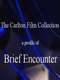 A Profile of Brief Encounter