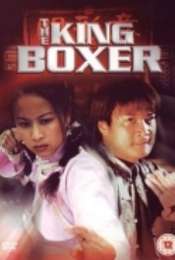 The King Boxer