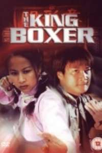 The King Boxer - Poster
