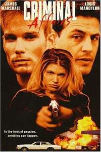 Criminal Affairs - Poster