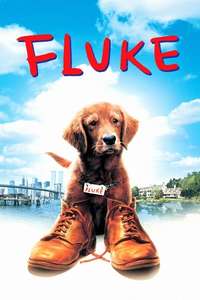 Fluke - Poster