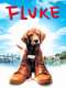 Fluke