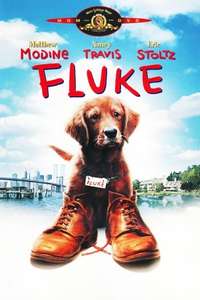 Fluke - Poster