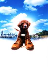 Fluke - Poster