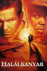 Switchback - Poster