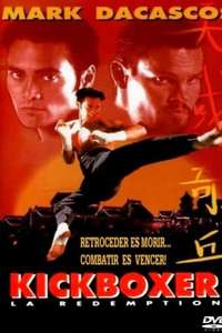 Kickboxer 5: The Redemption - Poster