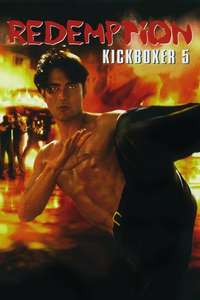 Kickboxer 5: The Redemption - Poster