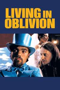 Living in Oblivion - Poster