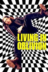 Living in Oblivion - Poster