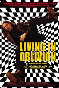 Living in Oblivion - Poster