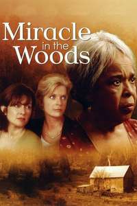 Miracle in the Woods - Poster