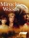Miracle in the Woods