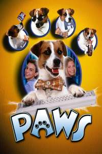 Paws - Poster