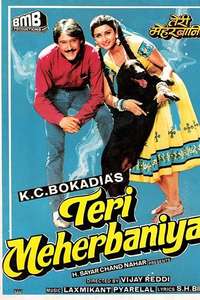 Teri Meherbaniyan - Poster