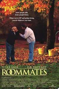 Roommates - Poster