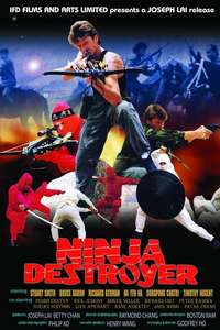 Ninja Destroyer - Poster