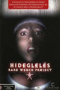 The Bare Wench Project - Poster