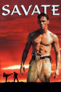 The Fighter - Poster