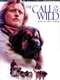 The Call of the Wild: Dog of the Yukon