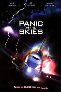 Panic in the Skies - Poster