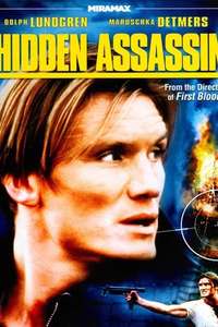 Hidden Assassin - Poster