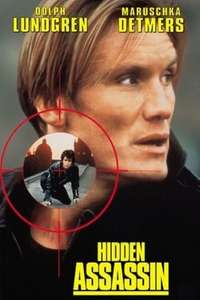 Hidden Assassin - Poster