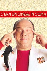 A Chinese in a Coma - Poster