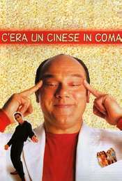 A Chinese in a Coma