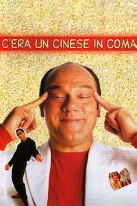 A Chinese in a Coma - Poster