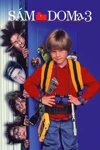Home Alone 3 - Posters