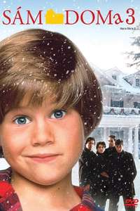 Home Alone 3 - Posters