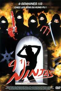 9 1/2 Ninjas! - Poster