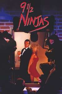 9 1/2 Ninjas! - Poster