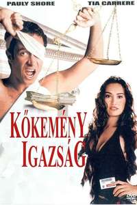 Jury Duty - Poster