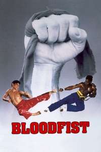 Bloodfist - Poster