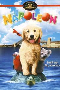 Napoleon - Poster