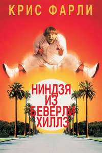 Beverly Hills Ninja - Poster