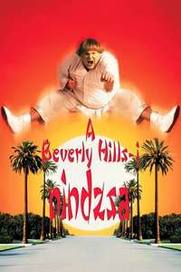 Beverly Hills Ninja - Poster