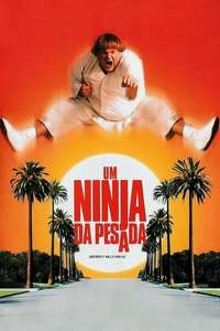 Beverly Hills Ninja - Poster