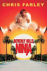 Beverly Hills Ninja - Poster