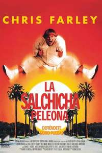 Beverly Hills Ninja - Poster