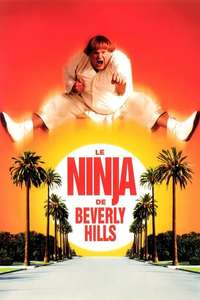 Beverly Hills Ninja - Poster