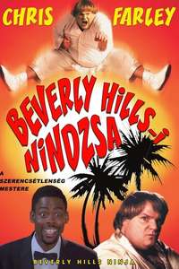 Beverly Hills Ninja - Poster